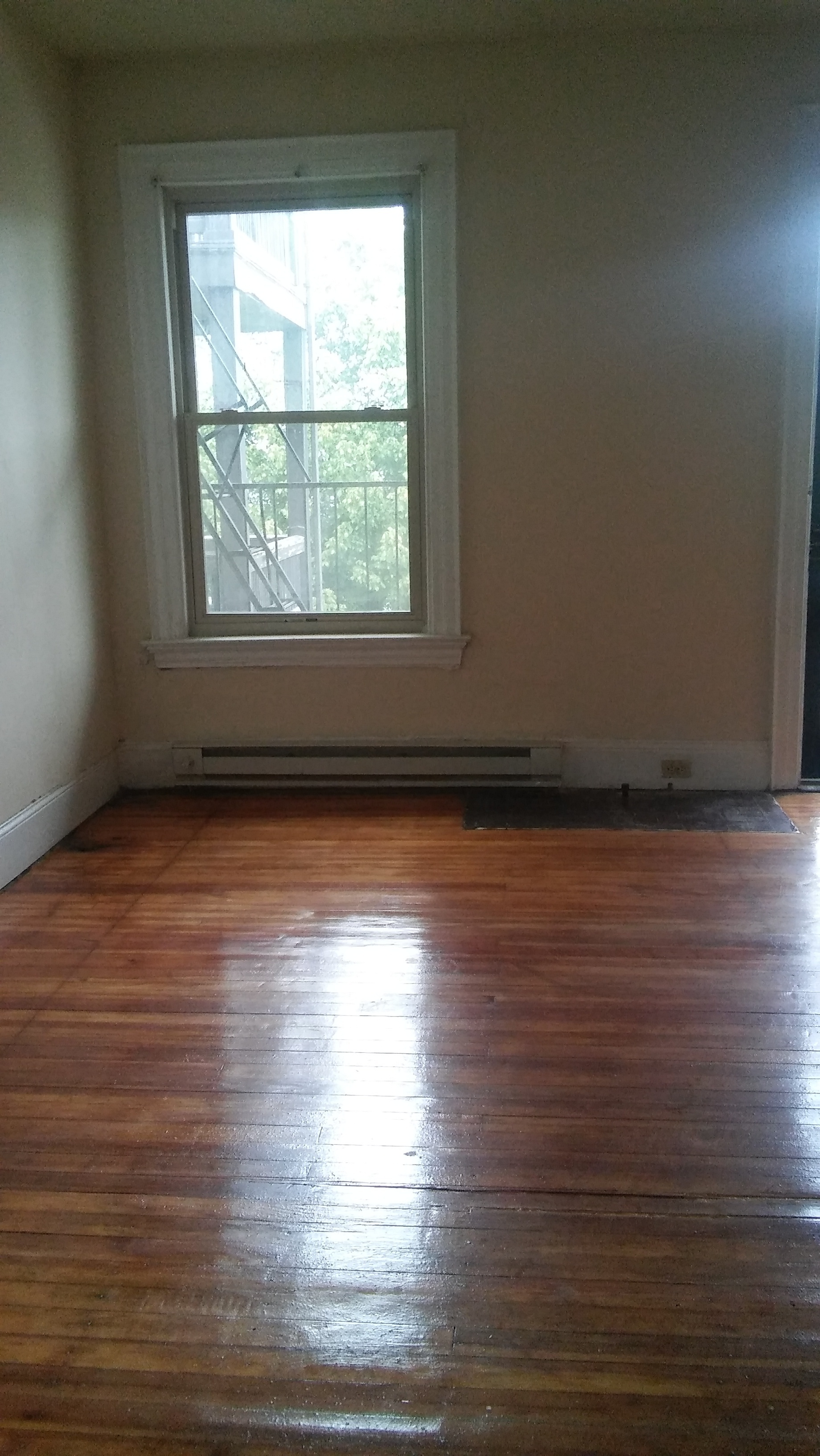 Martana Flats - 512/11 - Beautiful Wallace Woods One Bedroom Apartment for ren