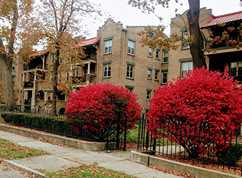Beautiful Wallace Woods 1st floor Three Bedroom Apartment